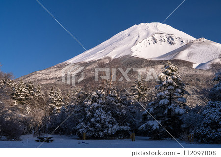 [靜岡縣] 黎明的富士山雪景和水塚公園 112097008
