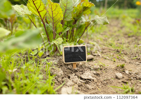 Black blank billboard against green field landscape. Empty mockup template. Blackboard label at farm land.  Black blank billboard against green field landscape. Empty mockup template. Blackboard label at farm land.  112097364