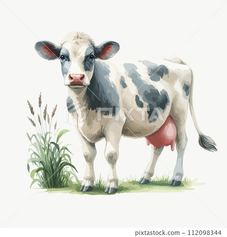 Watercolor illustration cow on green grass. Watercolor illustration cow on green grass. 112098344