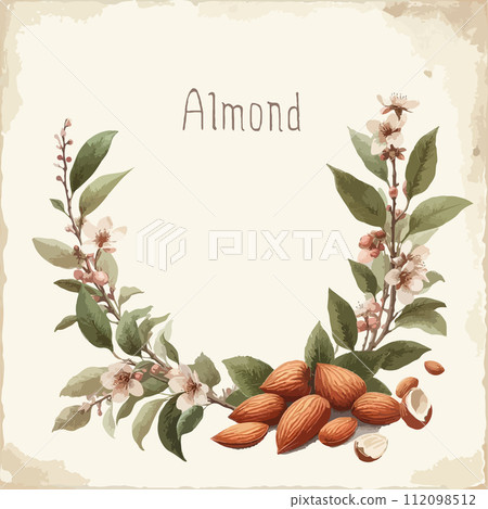 Watercolor almond vintage retro poster design. Vector almond illustration, fruits theme. Watercolor almond vintage retro poster design. Vector almond illustration, fruits theme. 112098512