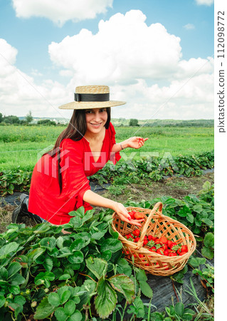 Stunning woman in red dress gathering Strawberries at the farm 112098772