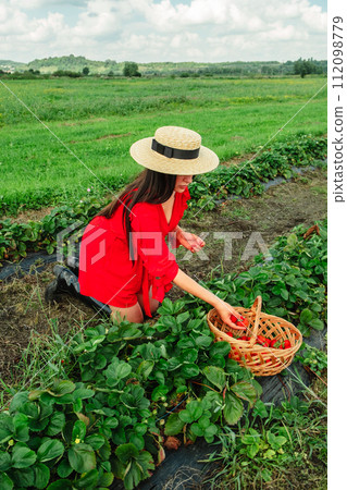 Crop woman put strawberries in basket Crop woman put strawberries in basket 112098779