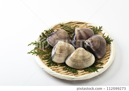 白色背景中的蛤蜊放置在漏勺中 112099273