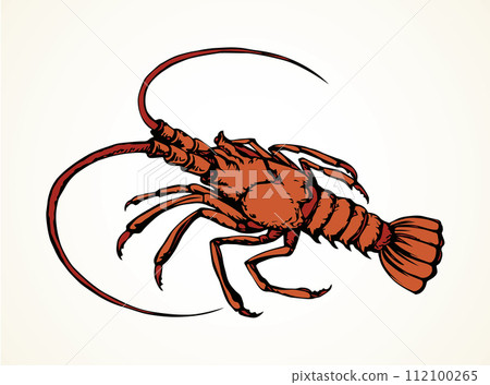 Lobster. Vector drawing Lobster. Vector drawing 112100265