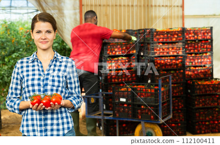 Female horticulturist showing crop of tomatoes in greenhouse warehouse 112100411