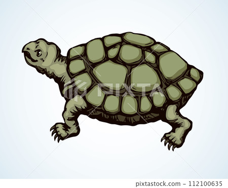 The little turtle is crawling. Vector drawing 112100635