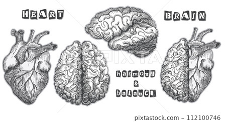 Set heart and brain Vintage design collage poster. Mental health and emotional well-being symbols. Mind-heart balance hand drawn graphic art. Half tone and sketch doodle style. Vector illustration 112100746