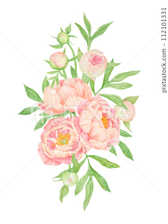 Peach peony bouquet watercolor hand drawn painting. Chinese national symbol illustration. Realistic flower clipart, floral arrangement for card design, wedding invitation, prints, textile, packing 112101331