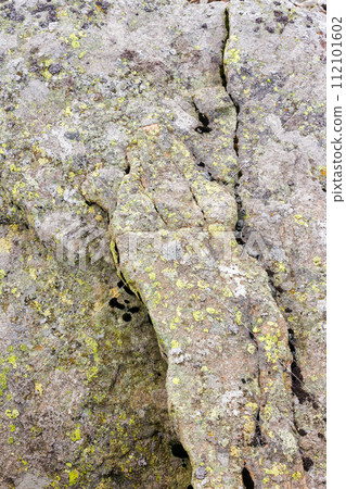 grungy texture of a gray stone with moss and caracks 112101602