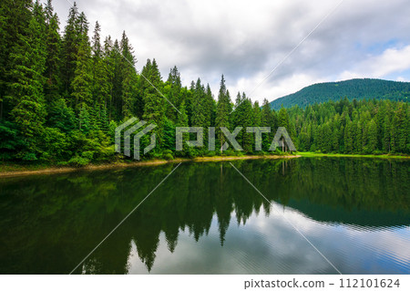 lake of synevyr national park in summer. forested hills of carpathian mountains reflecting on the calm water surface. cloudy weather. popular travel destination of ukraine lake of synevyr national park in summer. forested hills of carpathian mountains reflecting on the calm water surface. cloudy weather. popular travel destination of ukraine 112101624