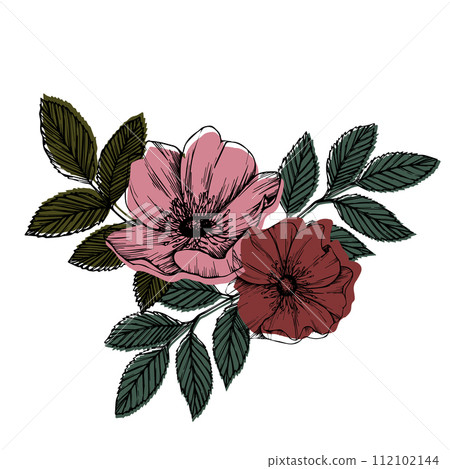 Rose hip vector composition with leaves and flowers. Wild rose, medicinal herb line art drawing, pink and red bud. Outline graphic illustration. sketch for card, prints, logo, tattoo, wedding design 112102144