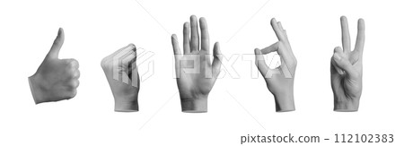 Hand gestures set. Fingers showing ok, victory, hi greeting, fist, ok signs isolated on white 112102383