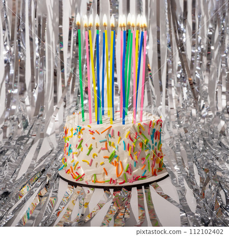 Birthday bento cake with many tall candles, silver glitter 112102402