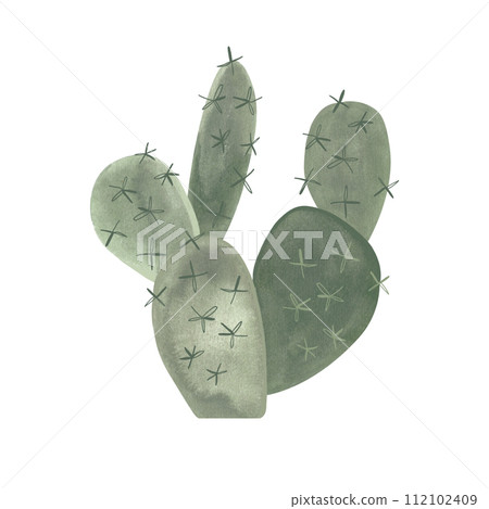 Prickle pear. Cactus. Plants for the home. Floriculture. Desert flora. Isolated watercolor illustration on white background. Clipart. 112102409