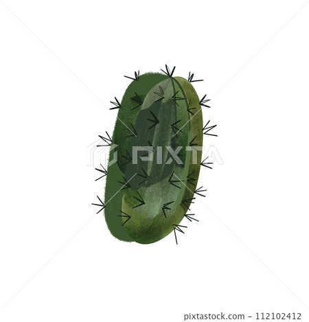Cactus. Plants for the home. Floriculture. Desert flora. Isolated watercolor illustration on white background. Clipart. Cactus. Plants for the home. Floriculture. Desert flora. Isolated watercolor illustration on white background. Clipart. 112102412