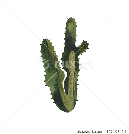 Cactus. Plants for the home. Floriculture. Desert flora. Isolated watercolor illustration on white background. Clipart. Cactus. Plants for the home. Floriculture. Desert flora. Isolated watercolor illustration on white background. Clipart. 112102414
