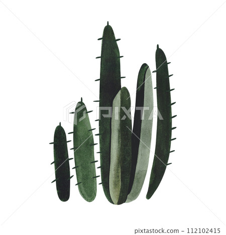 Cactus. Plants for the home. Floriculture. Desert flora. Isolated watercolor illustration on white background. Clipart. 112102415