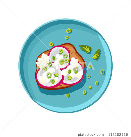Appetizing bruschetta with radishes and young onions on a turquoise plate. Vegetables on toast. Healthy food. Self care. Vector illustration 112102516