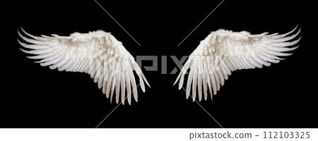 AI-generated content. Angelic White Feathered Wings Isolated on Black 112103325
