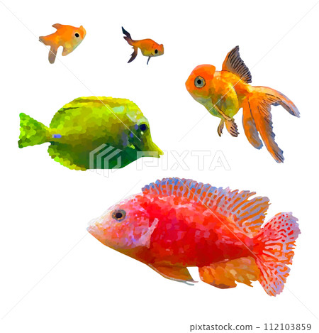 Vector illustration tropical fish on white background. Tropical sea underwater aquarium fishes. Gold fish, Aulonocara, Yellow Tang Vector illustration tropical fish on white background. Tropical sea underwater aquarium fishes. Gold fish, Aulonocara, Yellow Tang 112103859