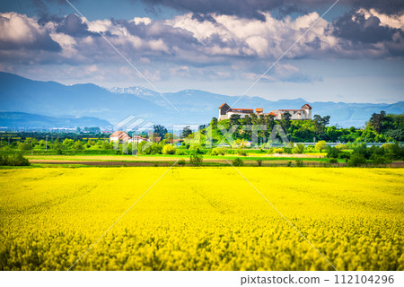 Feldioara, Romania. Spring landscapw with medieval fortress, Transylvania. 112104296