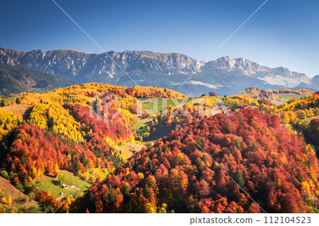 Carpathian Mountains, Romania. Autumn landscape with october colors, Bucegi 112104523