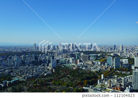 白天，面向東京/新宿的城市景觀 112104823