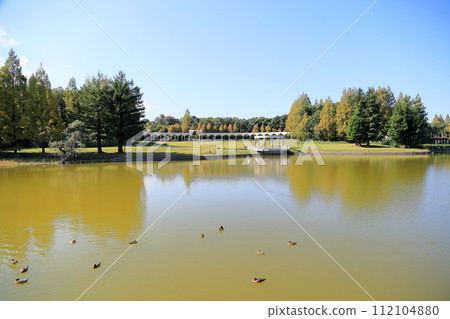 清新的秋天公園 清新的秋天公園 112104880