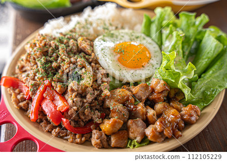 delicious looking meal delicious looking meal 112105229