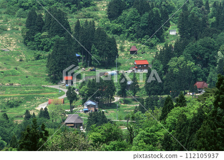 鄉村景觀在山坡上展開 鄉村景觀在山坡上展開 112105937