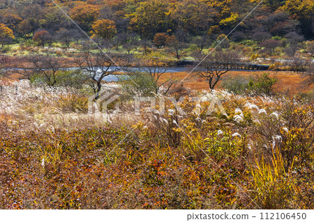 群馬縣前橋市的秋天:紅葉的赤城角萬淵 群馬縣前橋市的秋天:紅葉的赤城角萬淵 112106450
