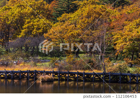Autumn in Maebashi City, Gunma Prefecture: Mt. Akagi Kakumanbuchi in autumn leaves 112106453