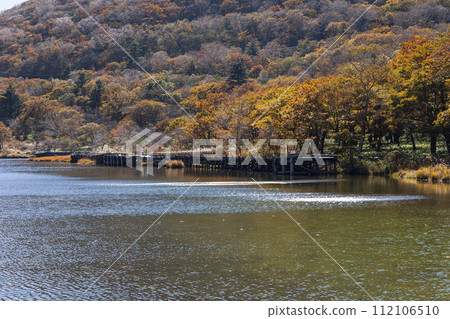 群馬縣前橋市的秋天：紅葉的赤城角萬淵 112106510