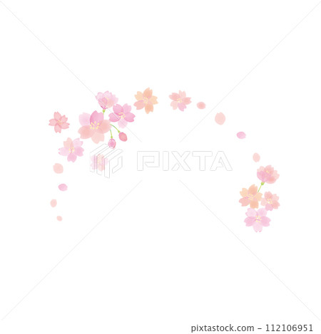 Cherry blossom flower cartoon 4 112106951
