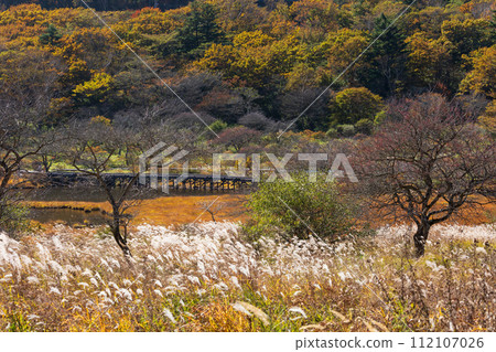 Autumn in Maebashi City, Gunma Prefecture: Mt. Akagi Kakumanbuchi in autumn leaves 112107026
