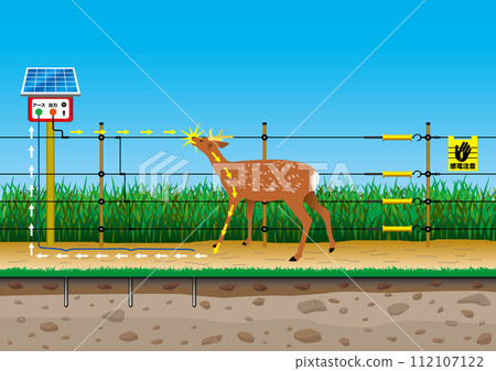 鹿觸電圍欄 112107122