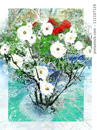 牡丹花 牡丹花 112107129