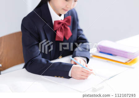 Hands of a junior high school girl studying Hands of a junior high school girl studying 112107293