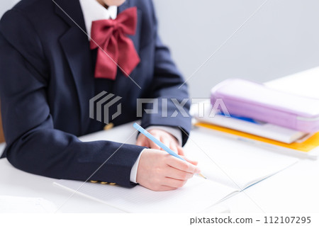 國中女孩學習的手 國中女孩學習的手 112107295