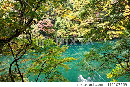 Hatonosu山谷 112107569