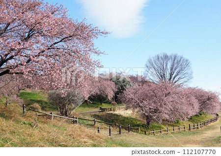 深谷市海之森公園 112107770