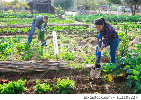 Portrait of woman standing with shovel in homestead outdoors Portrait of woman standing with shovel in homestead outdoors 112108227