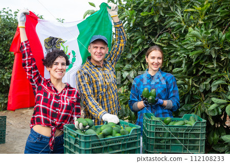 Group of happy young gardeners waving Mexican flag during avocado harvesting season in garden 112108233