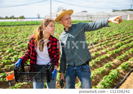 Farmer young man and woman communicate in the field 112108242