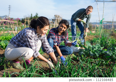 Woman caring for plants in garden with another worker 112108485