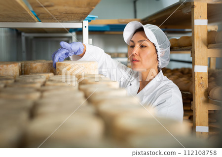 Woman in white uniform examining quality of cheese in ripening room Woman in white uniform examining quality of cheese in ripening room 112108758