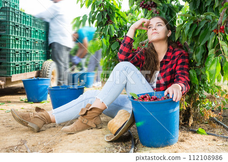 Portrait of a young girl sitting with a bucket of ripe cherries near a tree Portrait of a young girl sitting with a bucket of ripe cherries near a tree 112108986