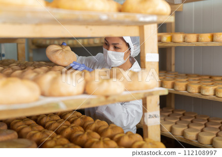 Woman cheesemaker in mask checking aging process of goat cheese Woman cheesemaker in mask checking aging process of goat cheese 112108997