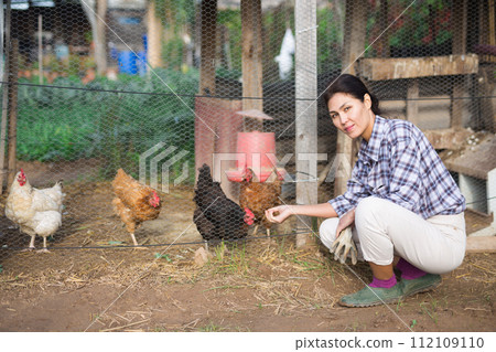 Asian woman feeding domestic chickens in henhouse 112109110