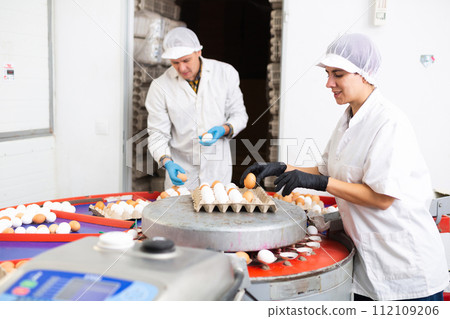 Male and female farmer workers sorting and labeling fresh chicken eggs on farm 112109206